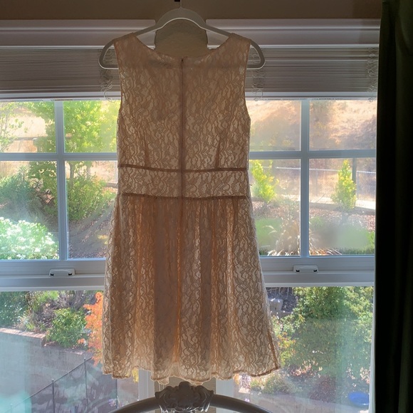 Pink Lace Dress - Picture 4 of 4